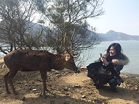 全村一起來熱鬧!(圖與文:張登傑、陳樂團)