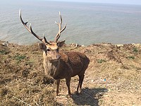 全村一起來熱鬧!(圖與文:張登傑、陳樂團)
