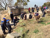 全村一起來熱鬧!(圖與文:張登傑、陳樂團)