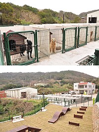 連江縣動物收容中心一期工程完工,獨立「套房」照顧每一隻流浪犬。(圖/文:馮紹夫)
