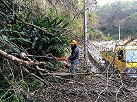 　清道。（圖與文：陳鵬雄）