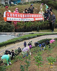 喜迎植樹節,馬管處同仁12日攜手種植360株縣樹海桐,讓馬管處入口環境更美觀。(圖/文:吳嘉榮)