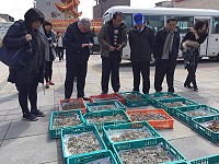 為研發馬祖特殊藥用植物產品,產發處去年底與該校藥學院已簽署研究合作案。(圖:陳鵬雄)