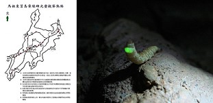 　東莒黃緣雌光螢觀察熱點重要棲地、觀察點，部分棲地遭破壞暨雌光螢亮光點。（圖：王建華提供）