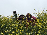 穿梭花叢間　（圖與文：宋幸儒）