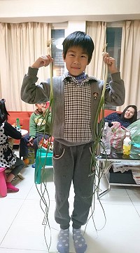 好大根的野蔥　（圖：楊明珠）