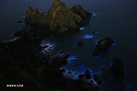 　東莒燈塔旁大砲連對面青山嶼礁石周圍海水在5日凌晨水清及無月亮光害下拍到明顯且較大面積「藍眼淚」。（圖：東莒大坪船老大民宿）