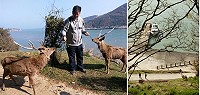 大坵觀光越來越受到遊客歡迎,連假期間共243人登島旅遊。(圖:本報資料室)
