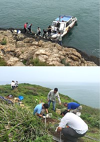 　農委會以及縣府委託專業單位展開今年燕鷗生態調查以及棲地整理，準備迎接即將到來的燕鷗季。（圖／文：陳鵬雄）