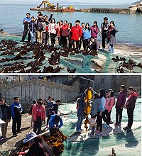 中山國中戶外教學體驗海帶採收的過程。(圖/文:陳鵬雄)