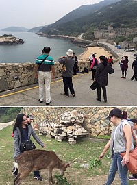 藍眼淚旺季到來,這個週休北竿景點和大坵人潮多,其中有不少來自香港的遊客。(圖/文:陳鵬雄)
