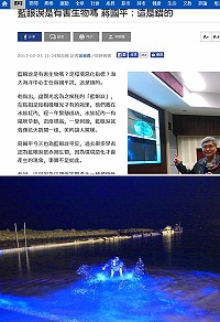 (上圖)馬祖「藍眼淚」經海大團隊1年採樣、萃取研究證實非有害生物。(下圖)今年首波夜晚大爆量15日北竿馬鼻灣場景。(圖:聯合報網站截圖、王樹欽)