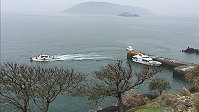 　大坵梅花鹿生態之旅越來越熱，現在開始到10月底，除了南竿有船開往大坵外，北竿橋仔也有機動性更高的娛樂漁船經營大坵航線。（圖與文：陳鵬雄）