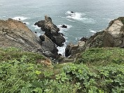 　全村一起來熱鬧！（圖與文：張登傑、陳樂團）