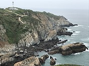 　全村一起來熱鬧！（圖與文：張登傑、陳樂團）