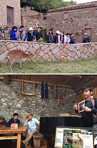 　產發處16日在大坵島舉辦大坵島梅花鹿解說員交流培訓活動。（圖：產發處、陳鵬雄）