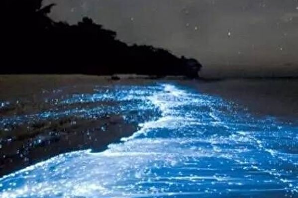 大陸浙江省北麂島、寧波市象山縣漁山列島等地海邊近期紛紛出現「藍眼淚」現象,大陸網民熱傳一系列照片。(網絡圖片)