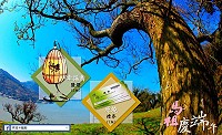 馬祖卡蹓趣粉絲團抽獎活動至6月8日,贈送粉絲鹽燈和燒肉禮券。(圖:交旅局)