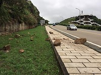 連日大雨,山坡土石鬆動,福山照壁4日上午大石滑落,幸未傷人。(圖:馬祖日報社)