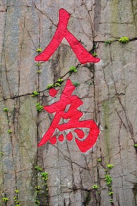 　不靠人！（圖與文：陳其敏）