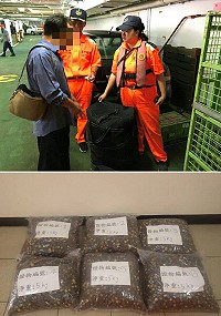一民眾昨日夾帶乾貨欲闖關,馬祖岸巡及時把關當場查獲30公斤乾香菇。(圖:第十海岸巡防總隊)