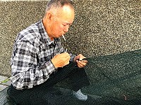 　補破網。（圖與文：陳鵬雄）