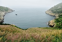 芒花飛揚　圖與文：陳其敏