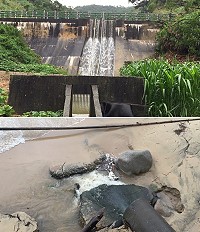 　梅雨鋒面滯留帶來極大雨量，北竿橋仔至芹壁到處可見水流潺潺，最終奔流入海。（圖／文：陳鵬雄）