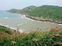 夏至　圖與文：陳其敏