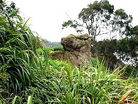 　北竿環島北路納骨堂附近山坡有一巨石，外觀酷似牛頭，老一輩民眾管這個地方叫「牛頭灣（彎）」，就是因為這塊石頭而來。（圖／文：陳鵬雄）