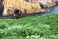 　海岸風景。（圖與文：陳其敏）