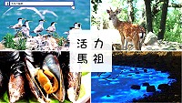 馬祖卡蹓趣粉絲團抽獎活動至7日,贈送粉絲單人台北-馬祖來回機票1組等一系列好禮。(圖:交旅局)