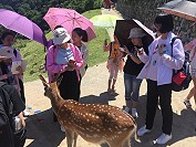 全村一起來熱鬧!(圖與文:張登傑、陳樂團)