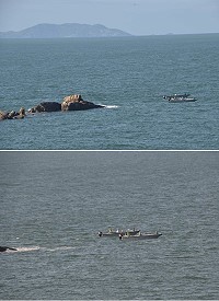 大陸高速海釣快艇天天報到,穿梭馬祖海域如入無人之境。(圖:津沙客棧提供)