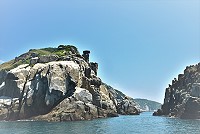 　海上石老鼠。（圖與文：陳其敏）