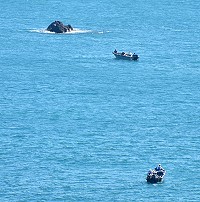 　大陸海釣船持續入侵東引近沿岸海域，掠奪漁業資源。（圖：民眾提供）