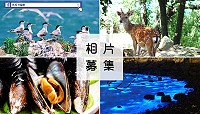 馬祖卡蹓趣粉絲團即日起至30日舉辦相片大募集活動,粉絲們只要參加,就有機會獲得豐富好禮。(圖:交旅局)