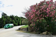 　夏艷。（圖／與文：陳其敏）