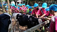 全村一起來熱鬧!(圖與文:張登傑、陳樂團)