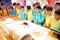 全村一起來熱鬧!(圖與文:張登傑、陳樂團)