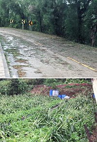 「尼莎」颱風過境,29日入夜後至30日清晨對地區影響最大;經相關單位勘災,四鄉累計共19件災情,路樹倒塌就17件,並未發生重大災情。(圖/文:曹重偉)
