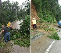 　產發處1日展開道路巡邏作業，清理移除倒塌路樹，恢復道路通行安全。（圖：產發處）