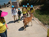 全村一起來熱鬧!(圖與文:張登傑、陳樂團)