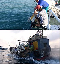 馬祖海巡隊19日實施護永專案掃蕩勤務,於東引海域發現陸船越界拖網拒檢,海巡緊追強靠帶回。(圖:馬祖海巡隊)