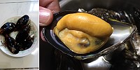 夏天馬祖淡菜肥度與甜度破表,農委會表示這個產業可以再做大,要讓美味淡菜進軍國際市場。(圖/文:陳鵬雄)