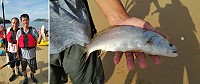 馬祖魚真多?一遊客芹壁划獨木舟操槳時打中一條鮸魚,成為馬祖之行最有趣的插曲。(圖:導遊提供)