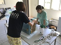 　狂犬病預防注射、流浪動物絕育暨防檢疫宣導活動29日至31日在清水畜牧中心辦理，藉著高密度的犬貓絕育，解決流浪犬貓問題。（圖／文：吳嘉榮）