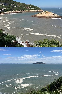 　颱風過後北竿西海岸海潮帶來大批保麗龍垃圾，在海面上形成一條條白色長龍。（圖／文：陳鵬雄）
