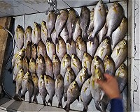 東引磯釣活動,近來台籍釣客釣獲不少黃雞魚。(圖:東磯民宿)