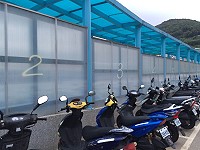 　白沙風雨走廊遭不明人士以噴漆噴上阿拉伯數字，每片隔板都有一個號碼。（圖／文：陳鵬雄）